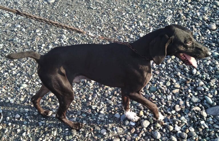 121810917_2816141198706232_545712011986788672_n