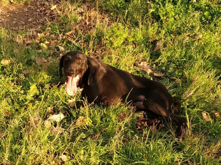 154373436_2929697664017251_8861498974373290417_n