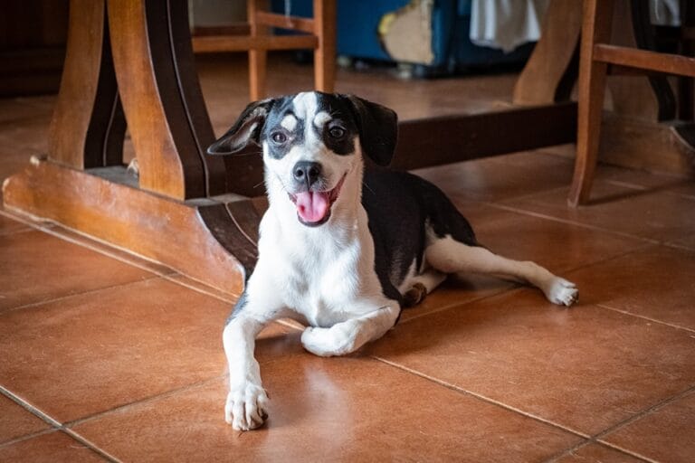 482345179_962654009392699_2851445143927088704_n