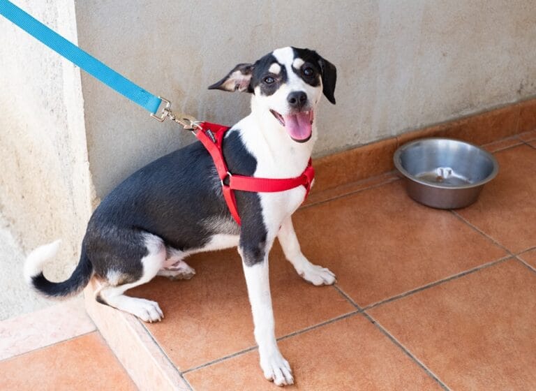 482356800_962654379392662_8738598577526141783_n