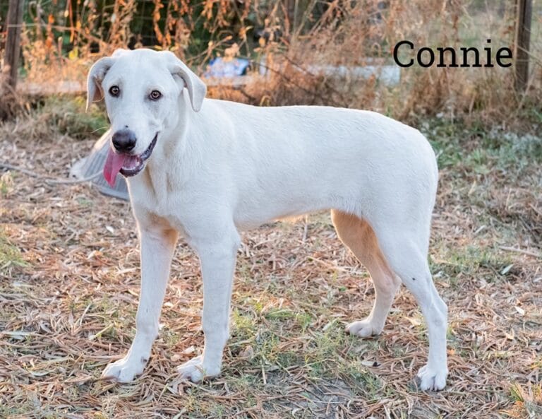 483542040_965474599110640_2434269733128740816_n