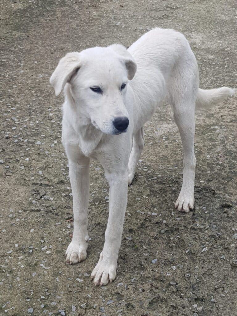 484188437_966135085711258_8772948494520464419_n