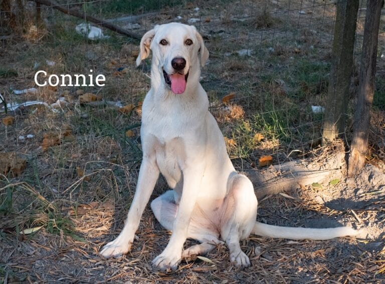 484395853_965474559110644_6223906964427023134_n