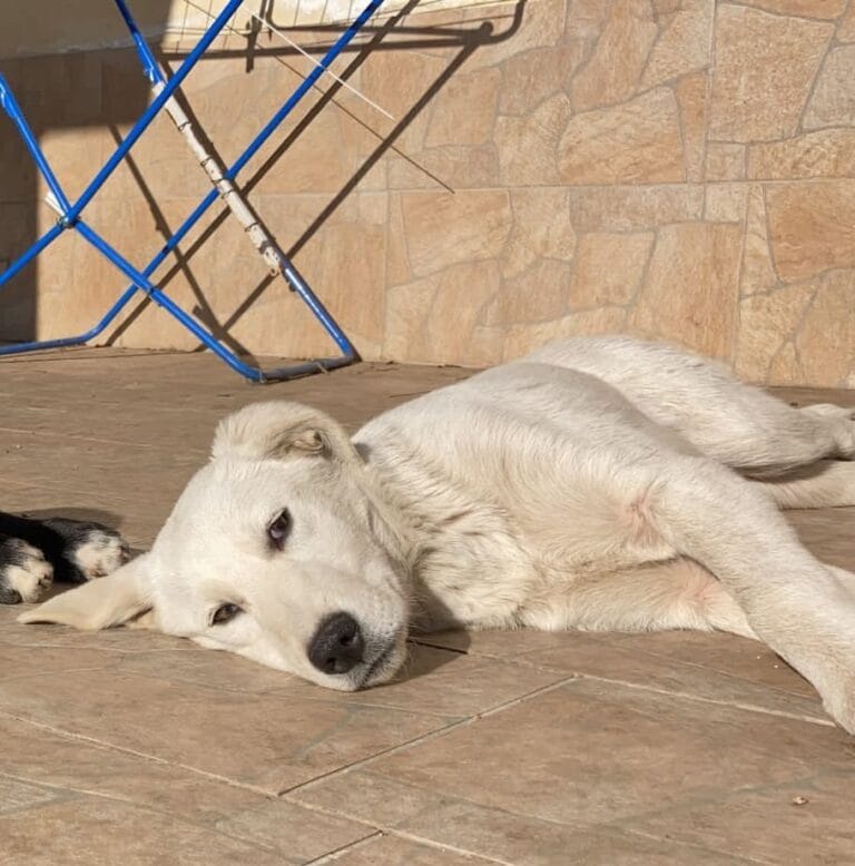 484694784_966134965711270_6562932009832071760_n