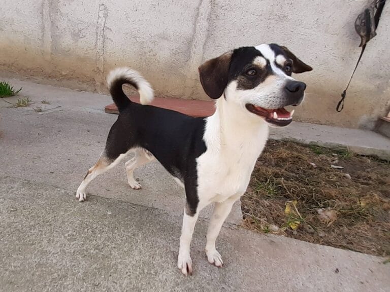 485201680_969658802025553_8291797573914389377_n