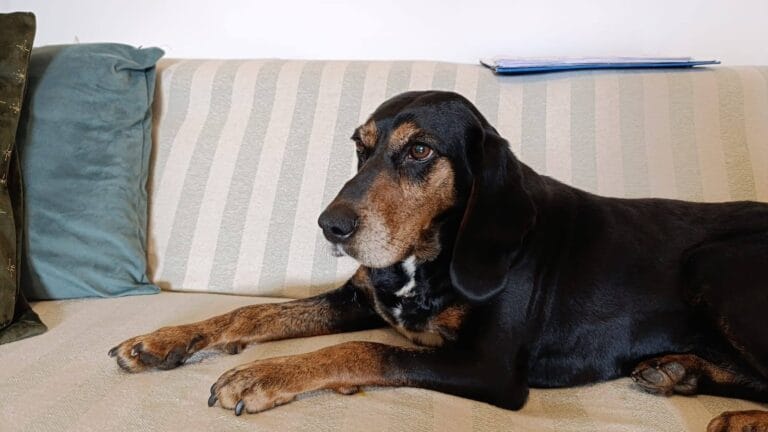 486148268_971758875148879_8707034279200088037_n