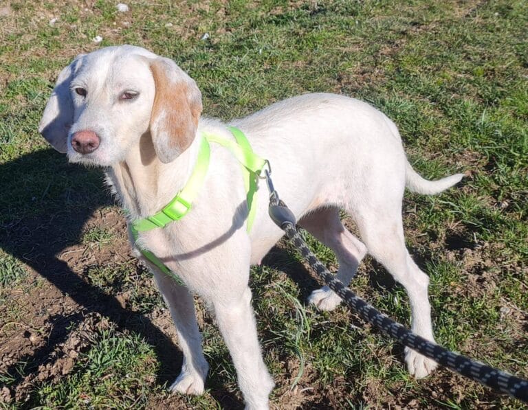 488210433_978308037827296_5886530943618408310_n