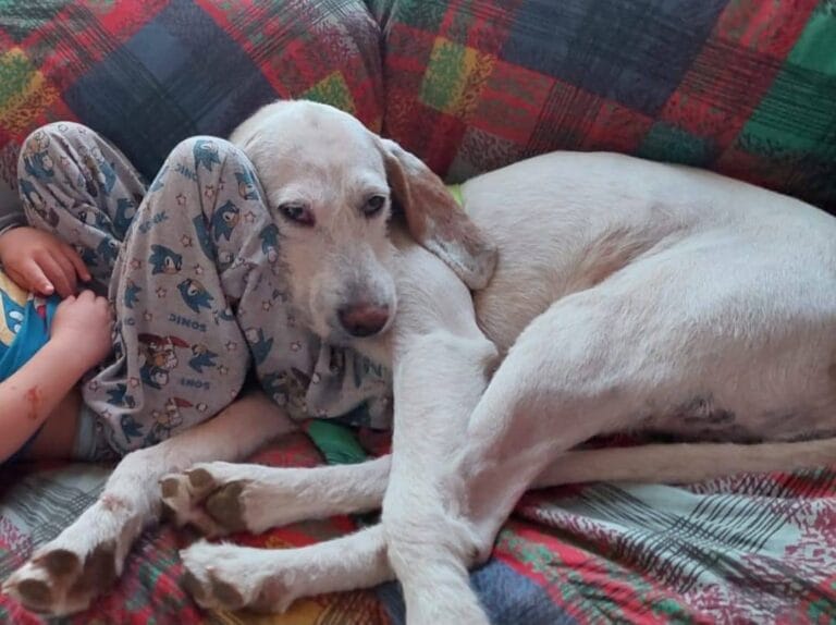 488616618_983714207286679_447462438812603575_n