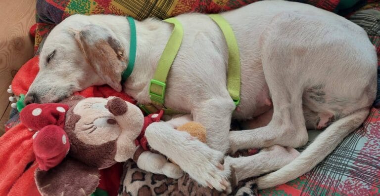 489029953_983714257286674_8995868047256252457_n