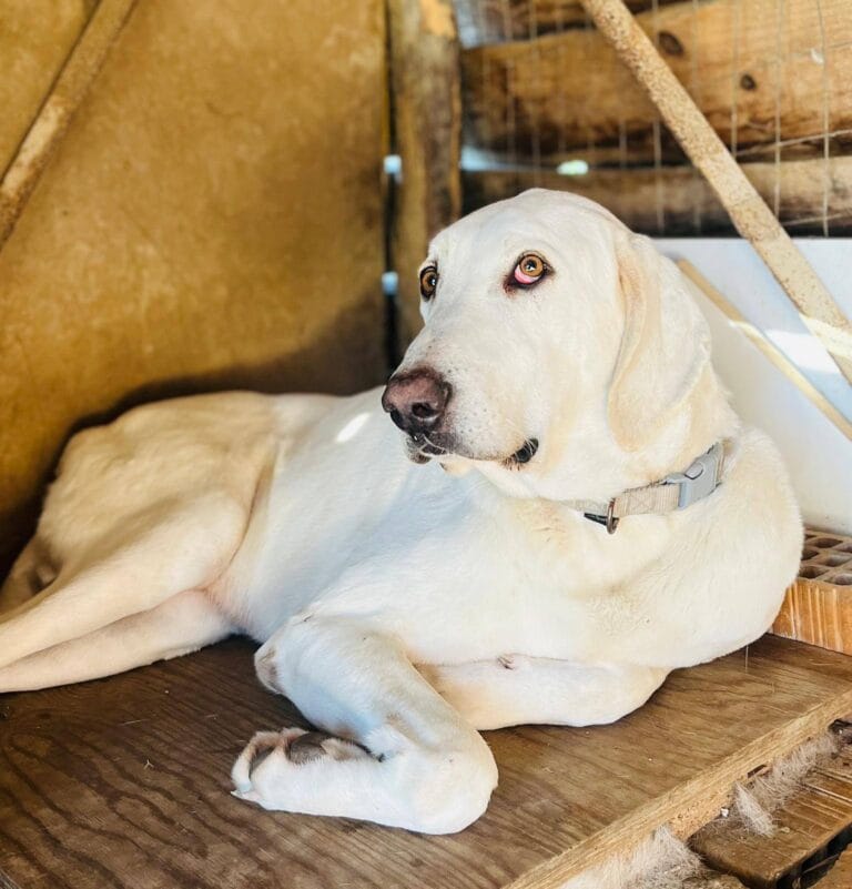 607067749_1190623936595704_2075155577939193681_n