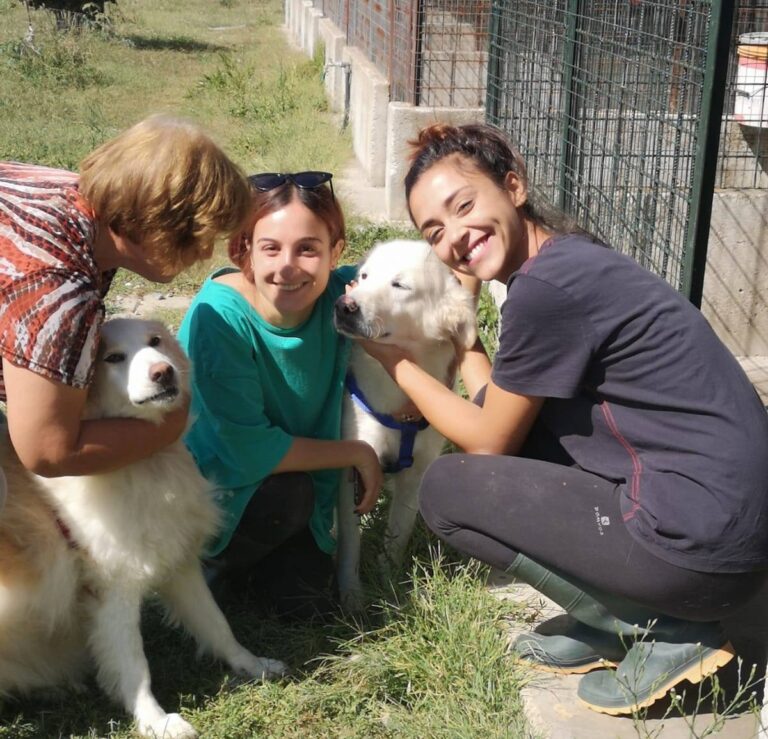 un gruppo di volontari in un rifugio per animali con due cani