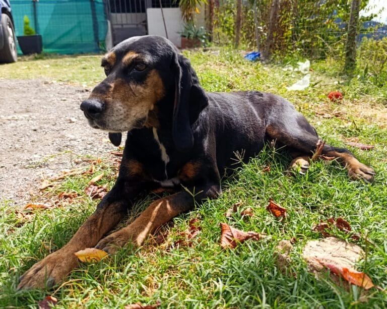 WhatsApp Image 2025-09-28 at 13.49.13 (2)