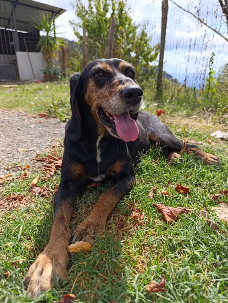 WhatsApp Image 2025-09-28 at 13.49.13 (3)