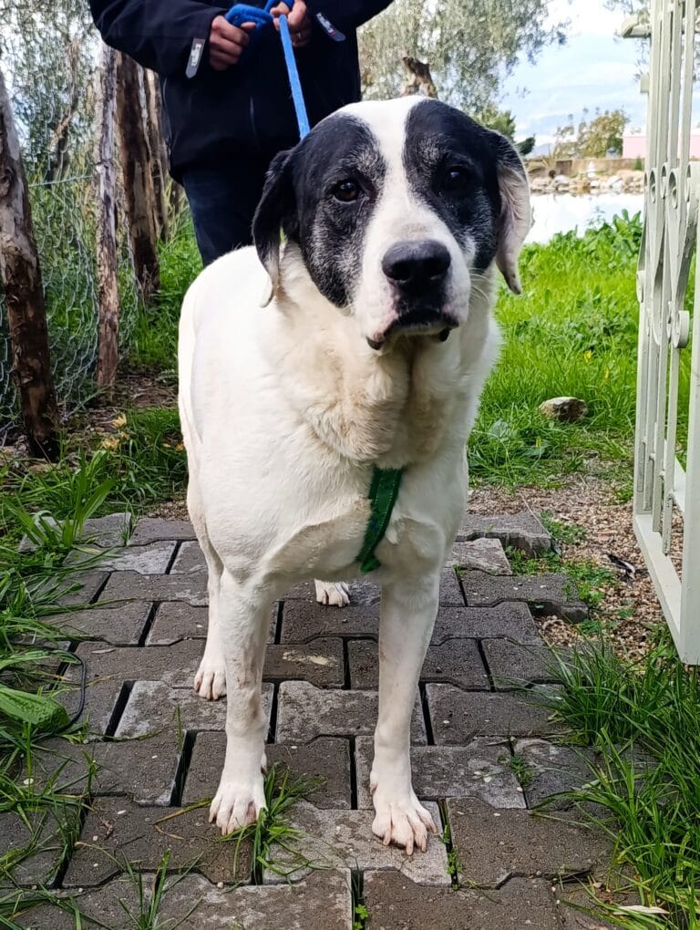 WhatsApp Image 2026-02-19 at 09.23.42