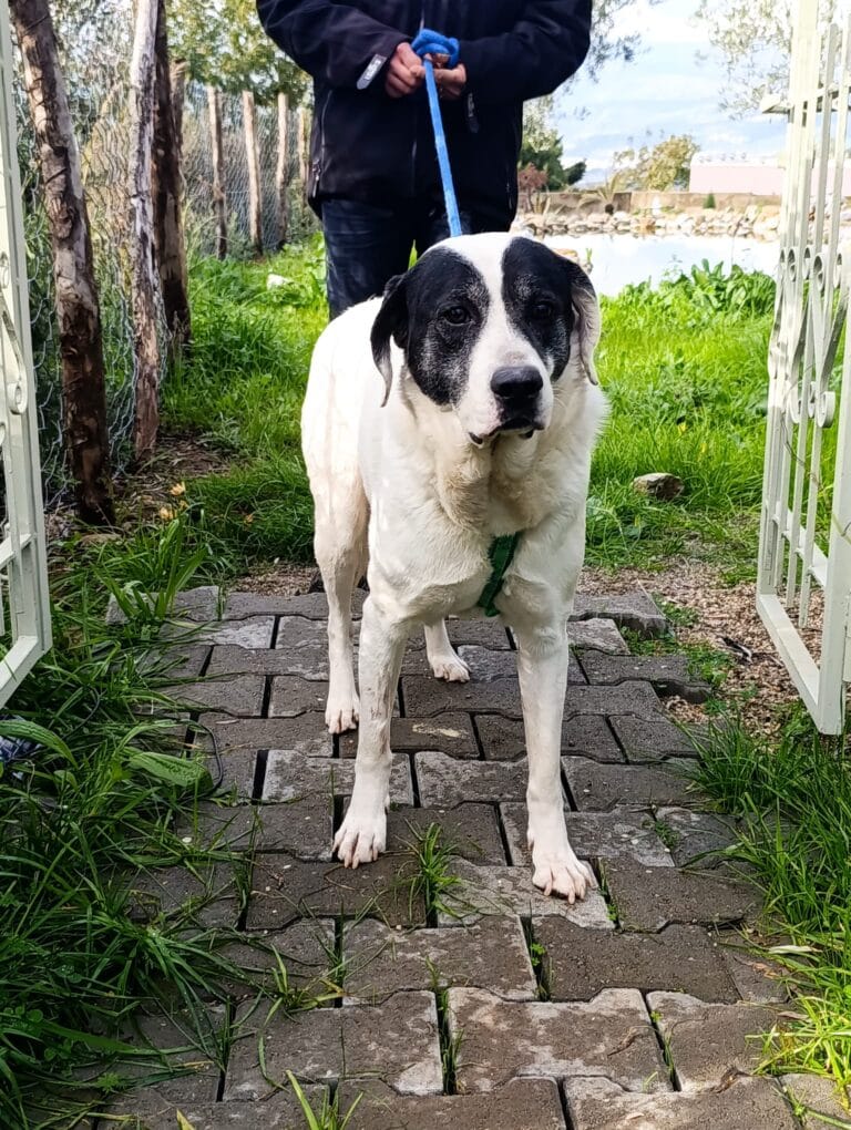 WhatsApp Image 2026-02-19 at 09.23.46