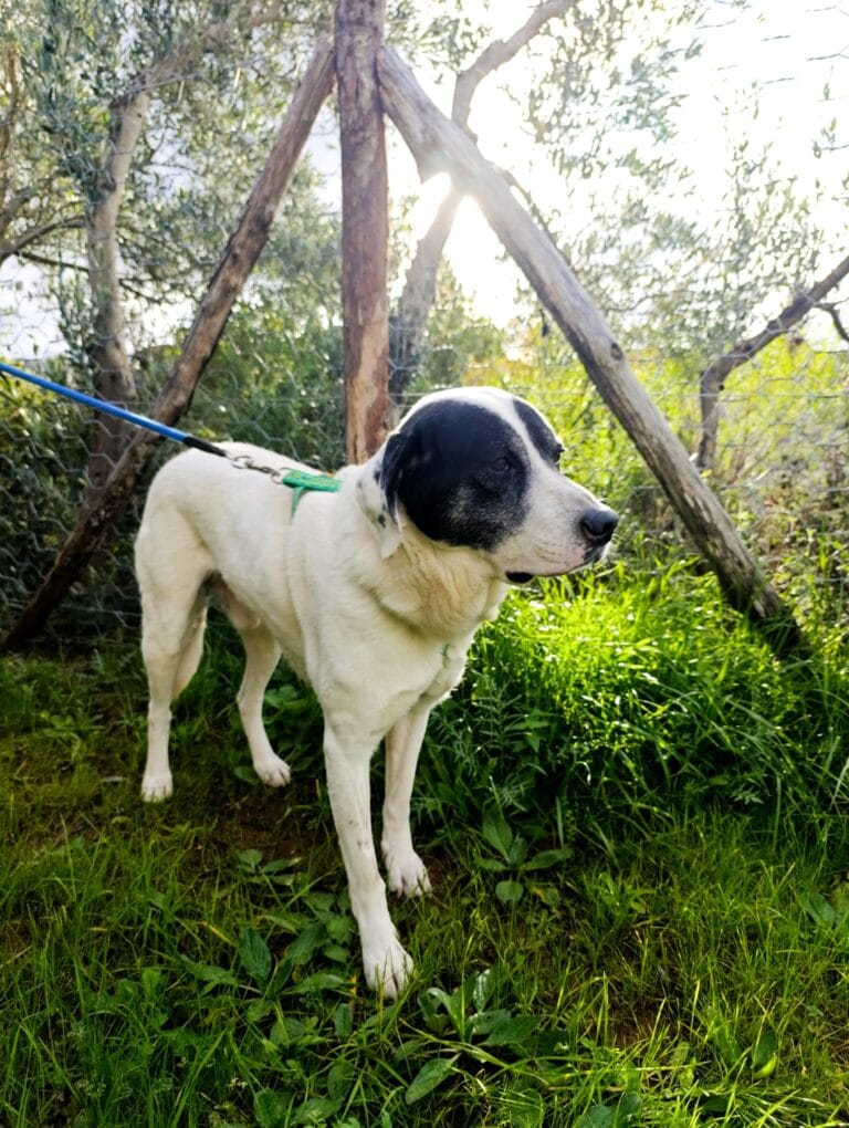 WhatsApp Image 2026-02-19 at 09.23.47