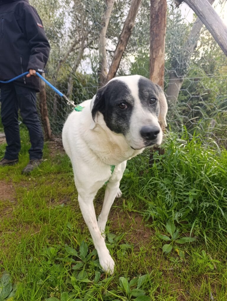 WhatsApp Image 2026-02-19 at 09.23.48 (1)