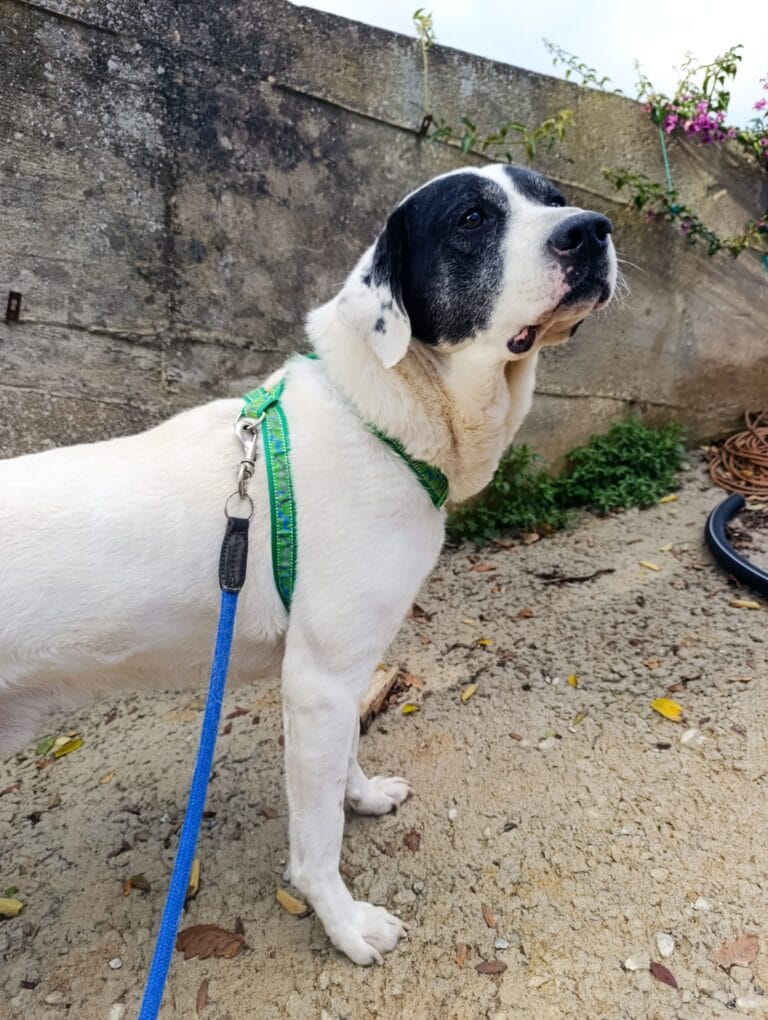 WhatsApp Image 2026-02-19 at 09.23.49 (1)