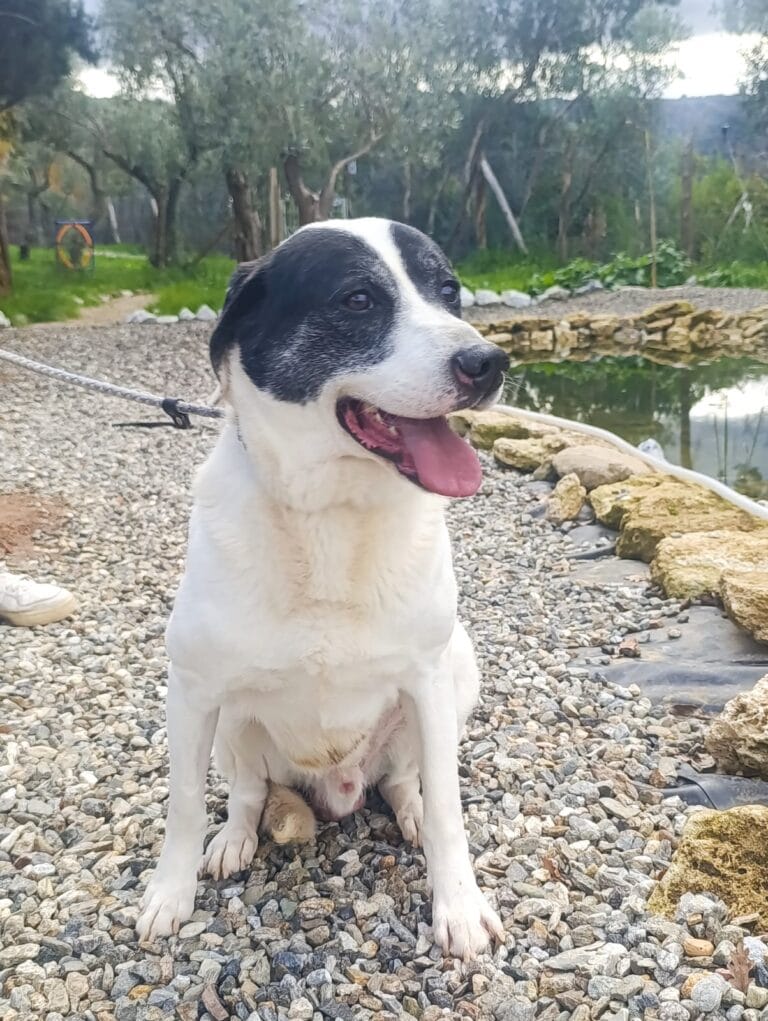 WhatsApp Image 2026-02-19 at 09.23.54