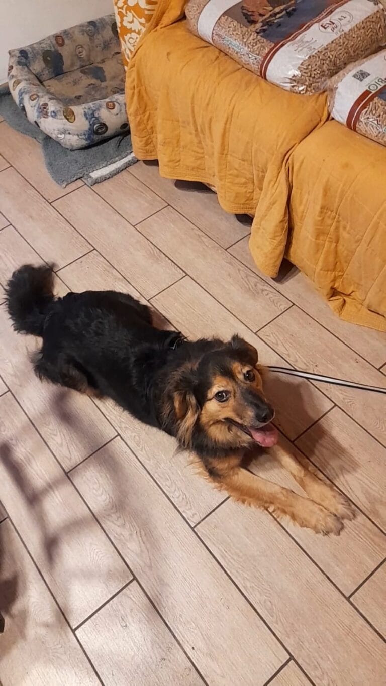 WhatsApp Image 2026-03-11 at 08.21.52 (1)