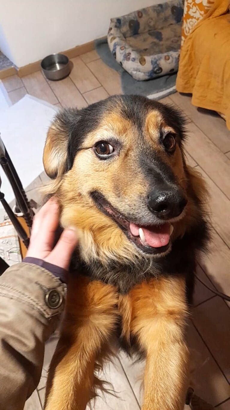 WhatsApp Image 2026-03-11 at 08.21.52 (2)