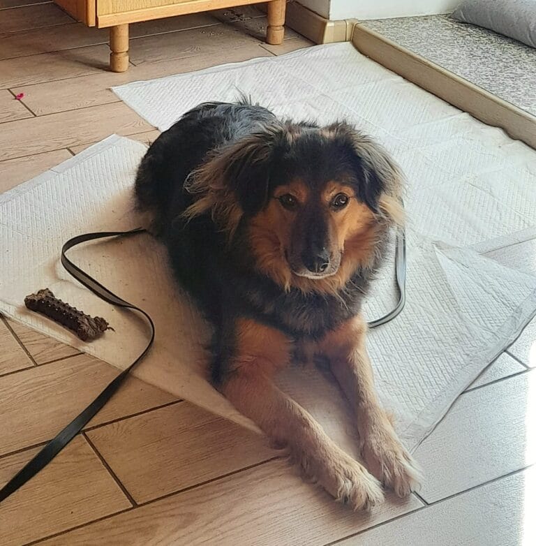 WhatsApp Image 2026-03-11 at 08.21.52