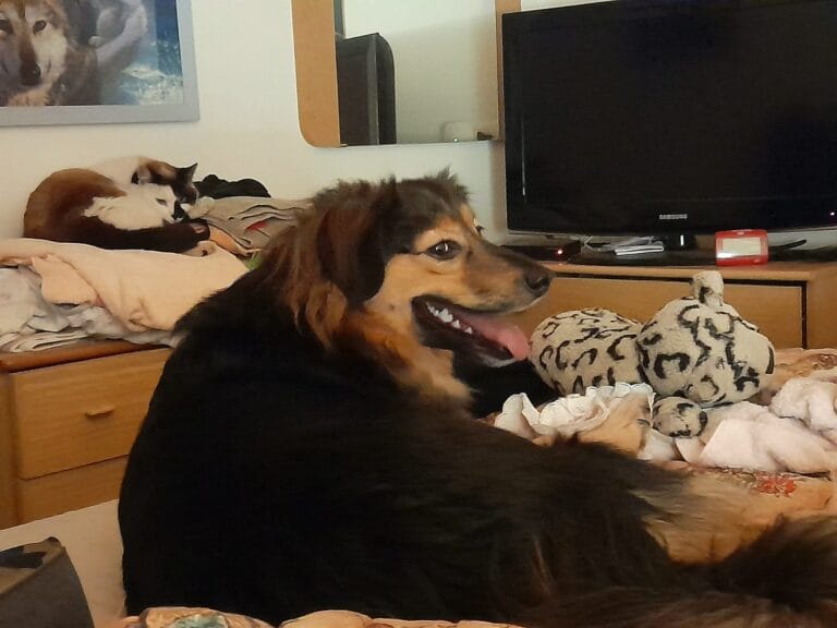 WhatsApp Image 2026-03-11 at 08.21.53 (3)