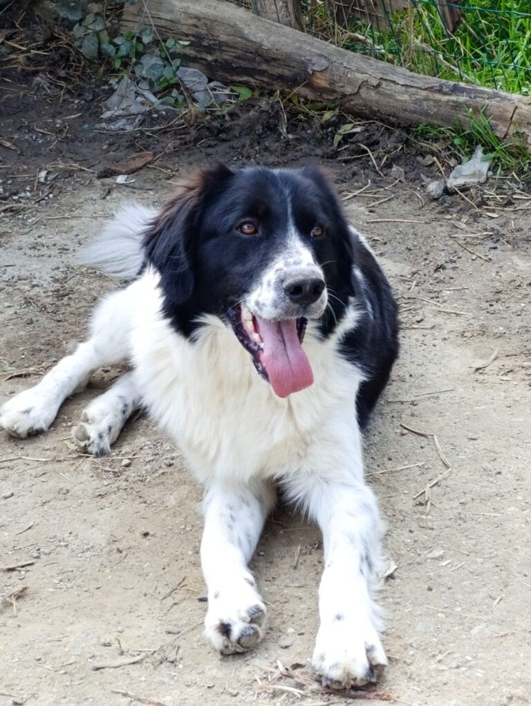 576464912_1149233770734721_2778974905257782440_n