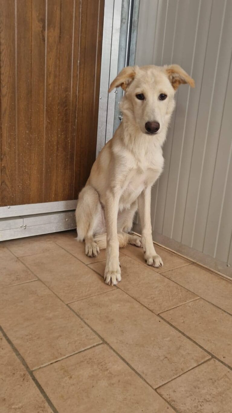 571136181_1140603691597729_8157298475386443695_n