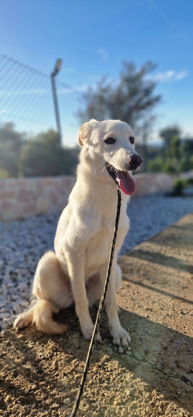 576809106_1151603993831032_5125054876998136097_n