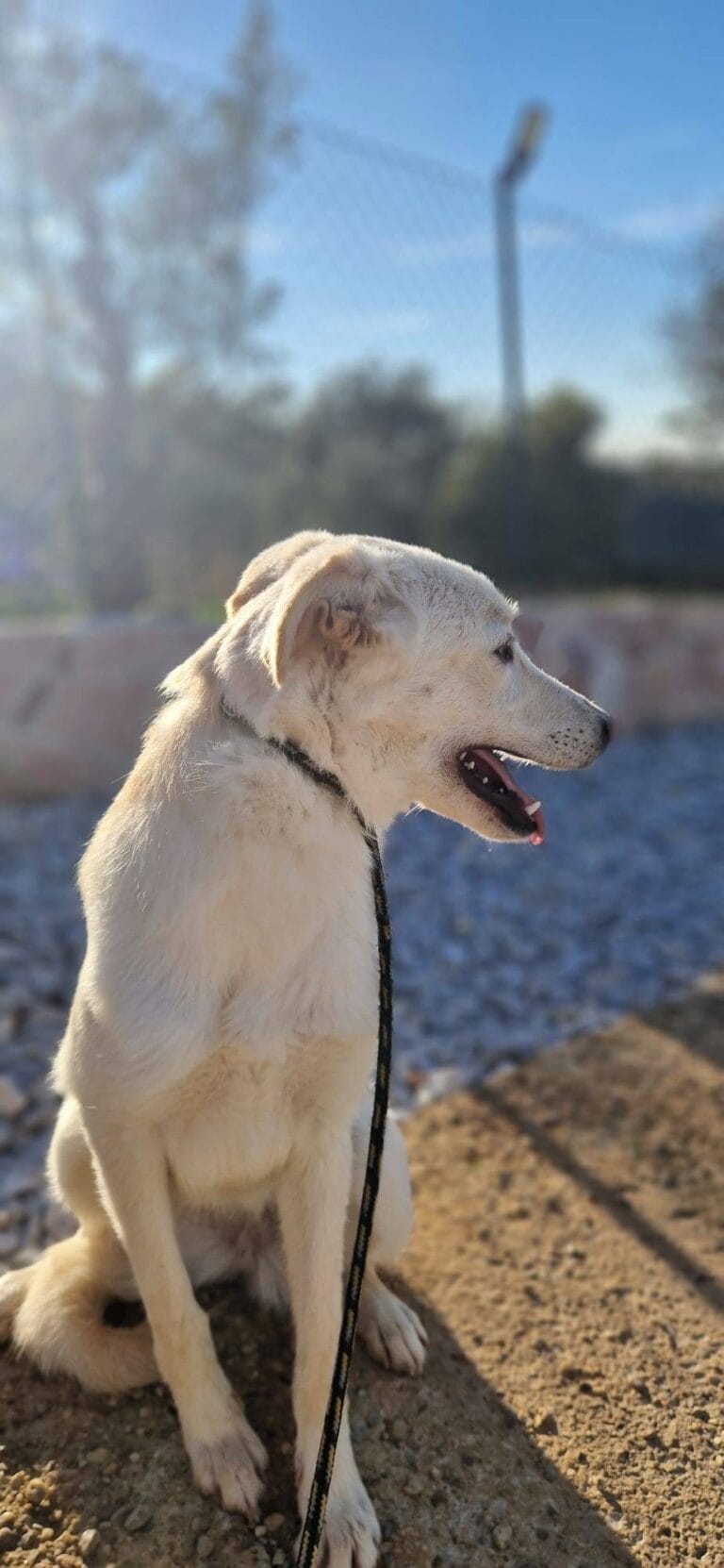 576933199_1151604033831028_8204878419896991469_n