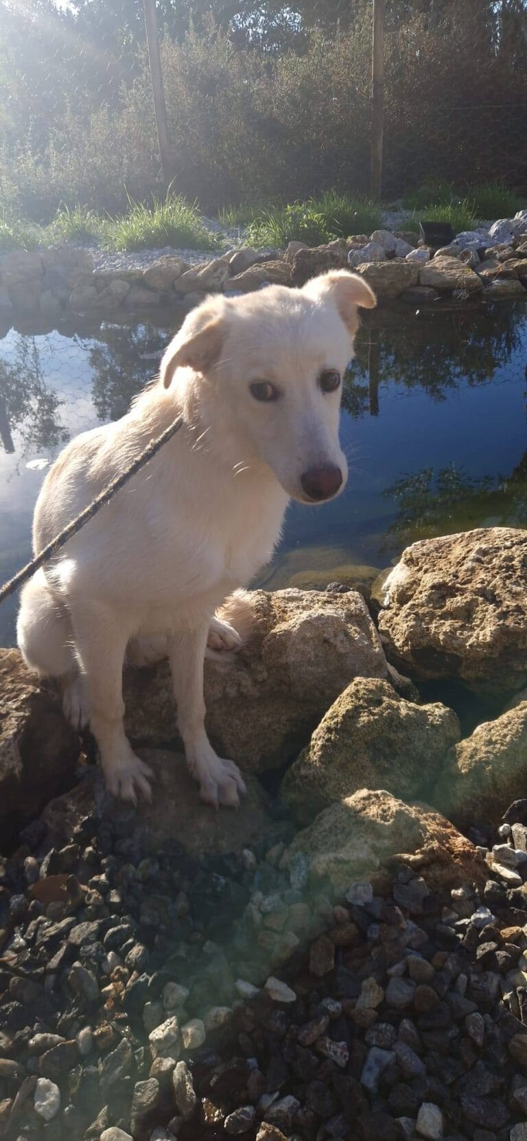 577792863_1151604140497684_5756117542727377725_n