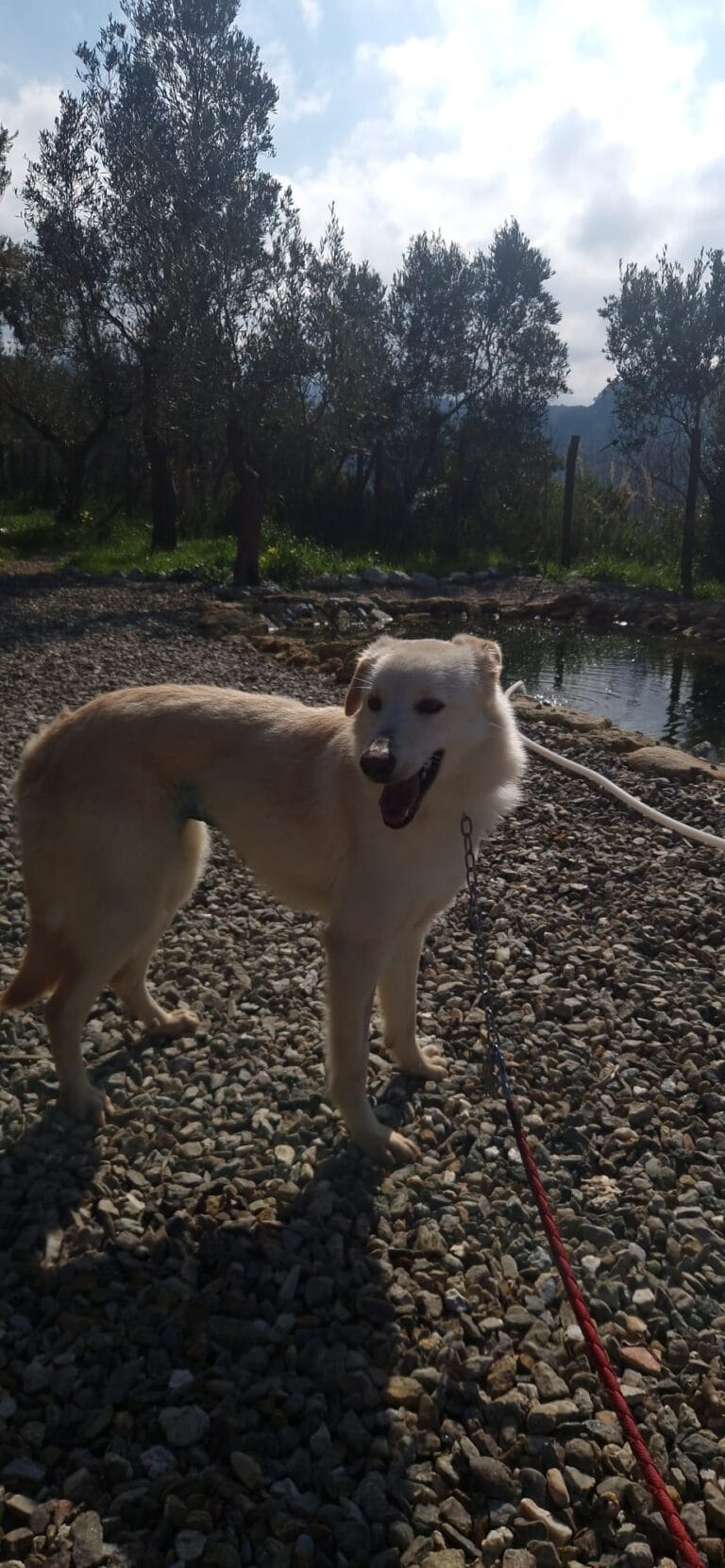 WhatsApp Image 2026-02-28 at 13.35.41