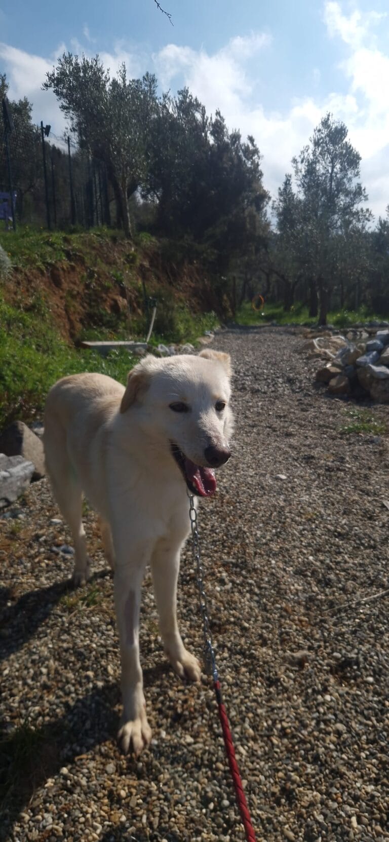 WhatsApp Image 2026-02-28 at 13.35.42 (1)