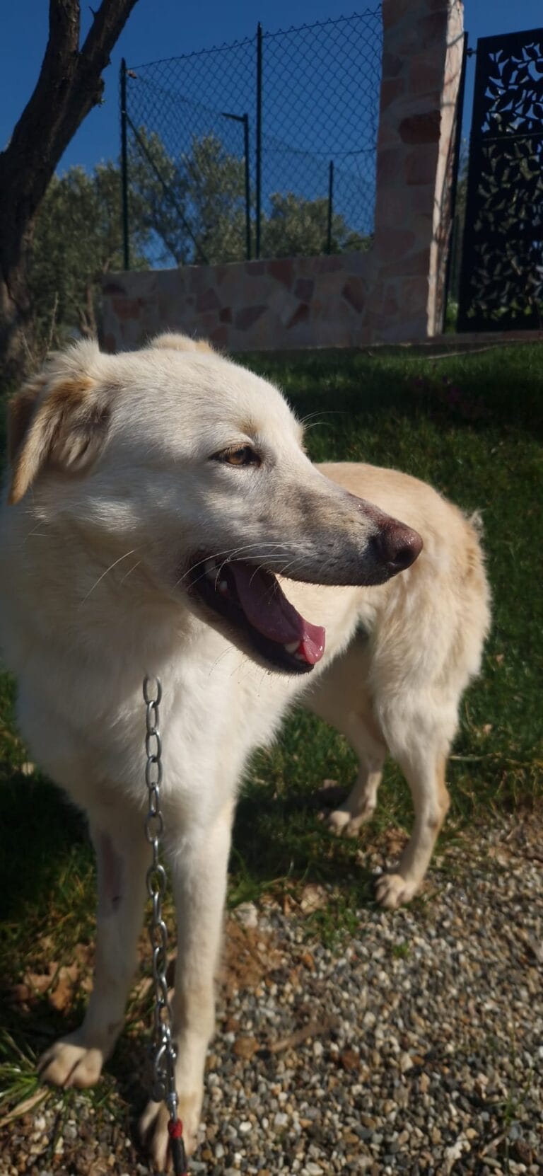 WhatsApp Image 2026-02-28 at 13.35.42