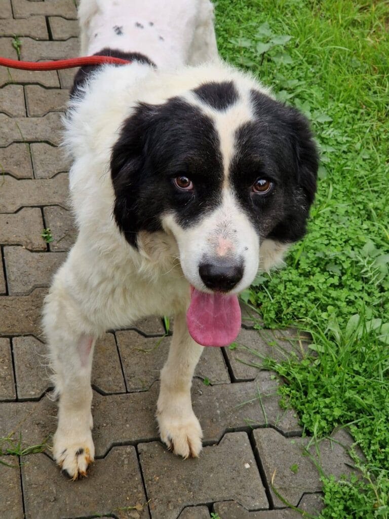 583262530_1161690942822337_7625213261661377996_n