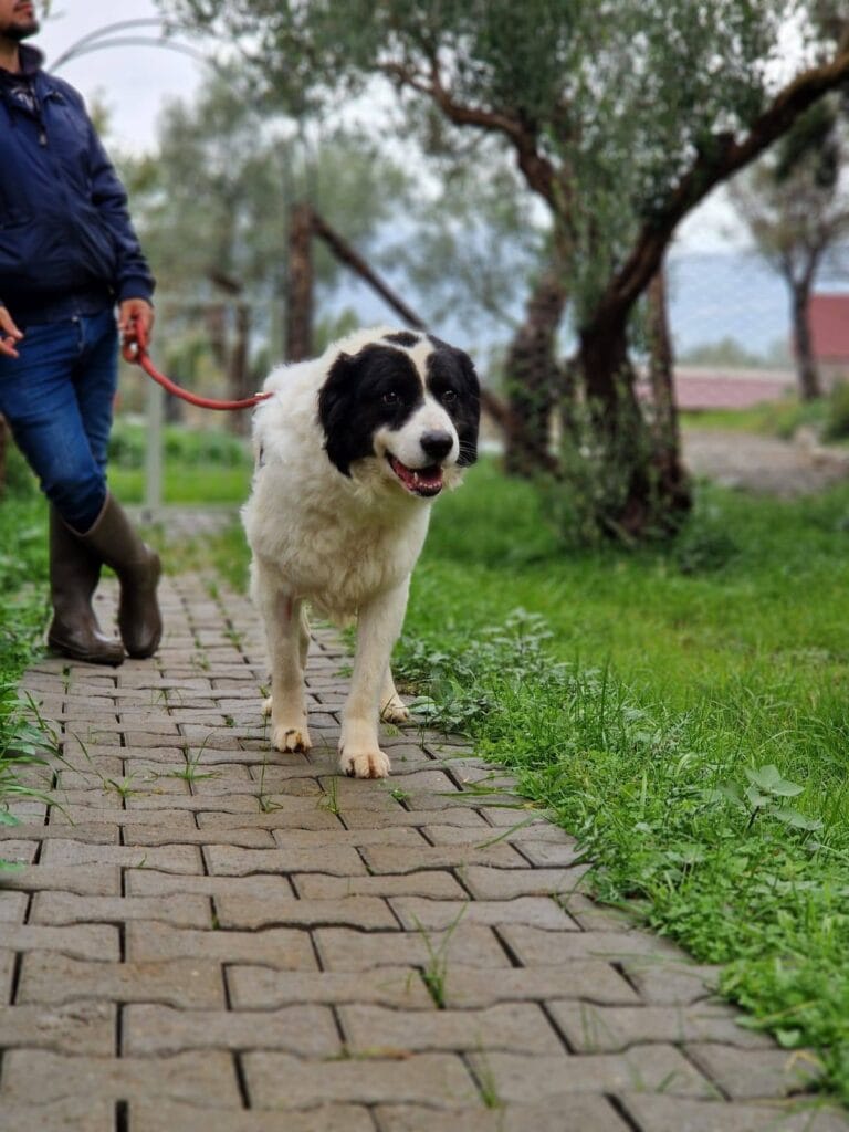 584591343_1161691129488985_3106797813725873397_n