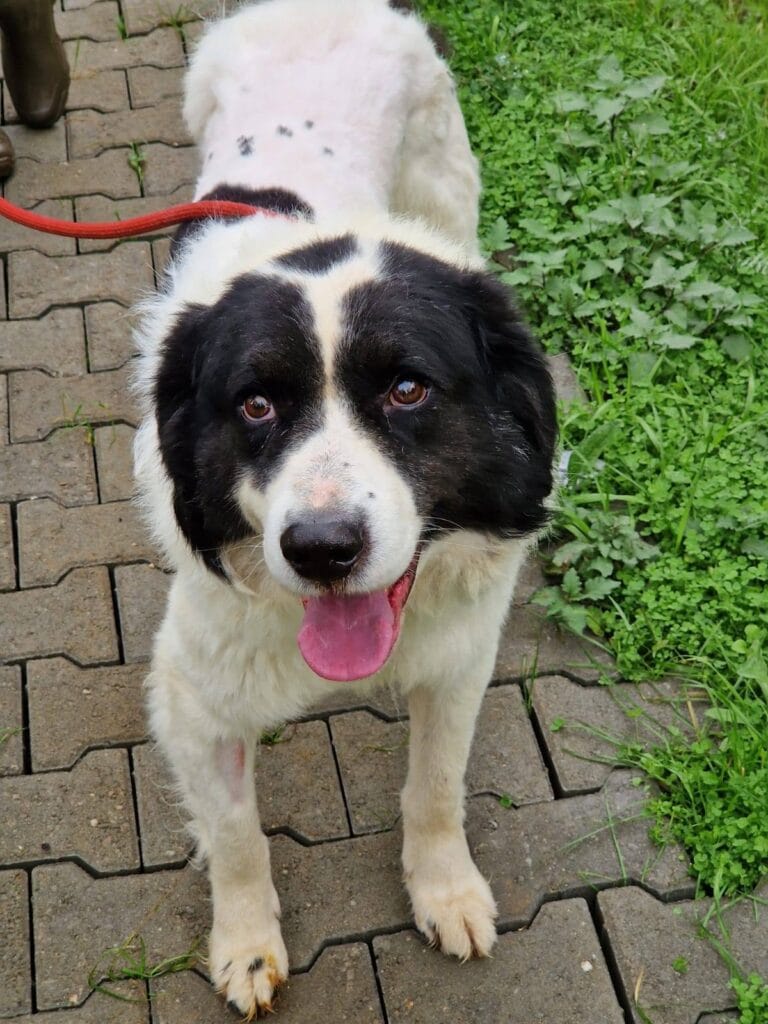 586197030_1161690762822355_549155131052447730_n