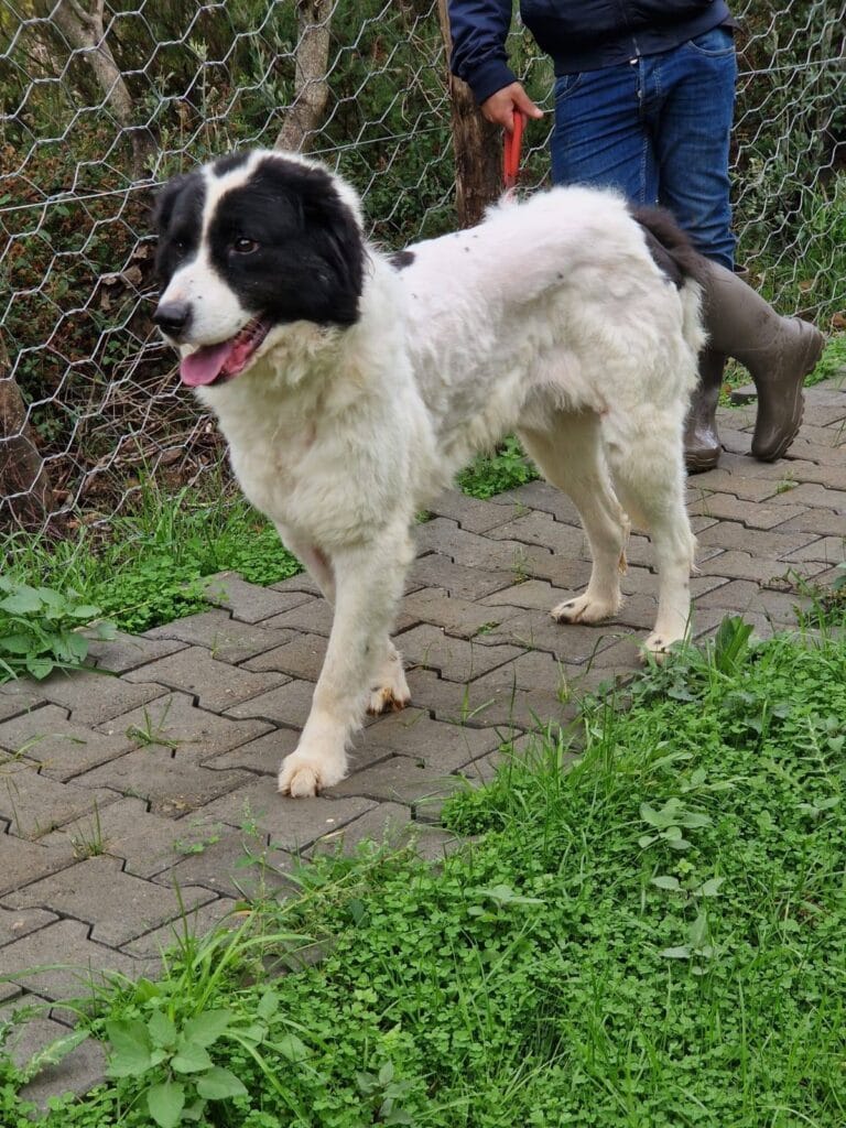 586339745_1161691329488965_4097526002536182440_n