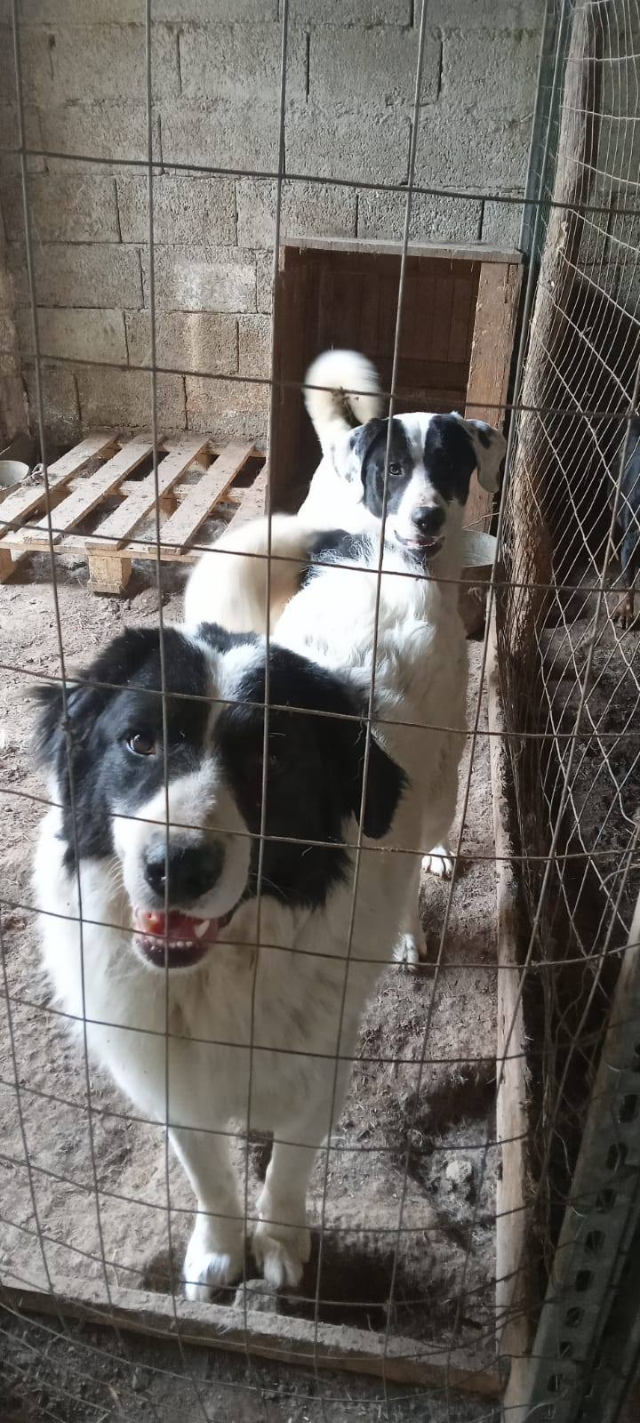 586452608_1161691642822267_7620000082038326673_n