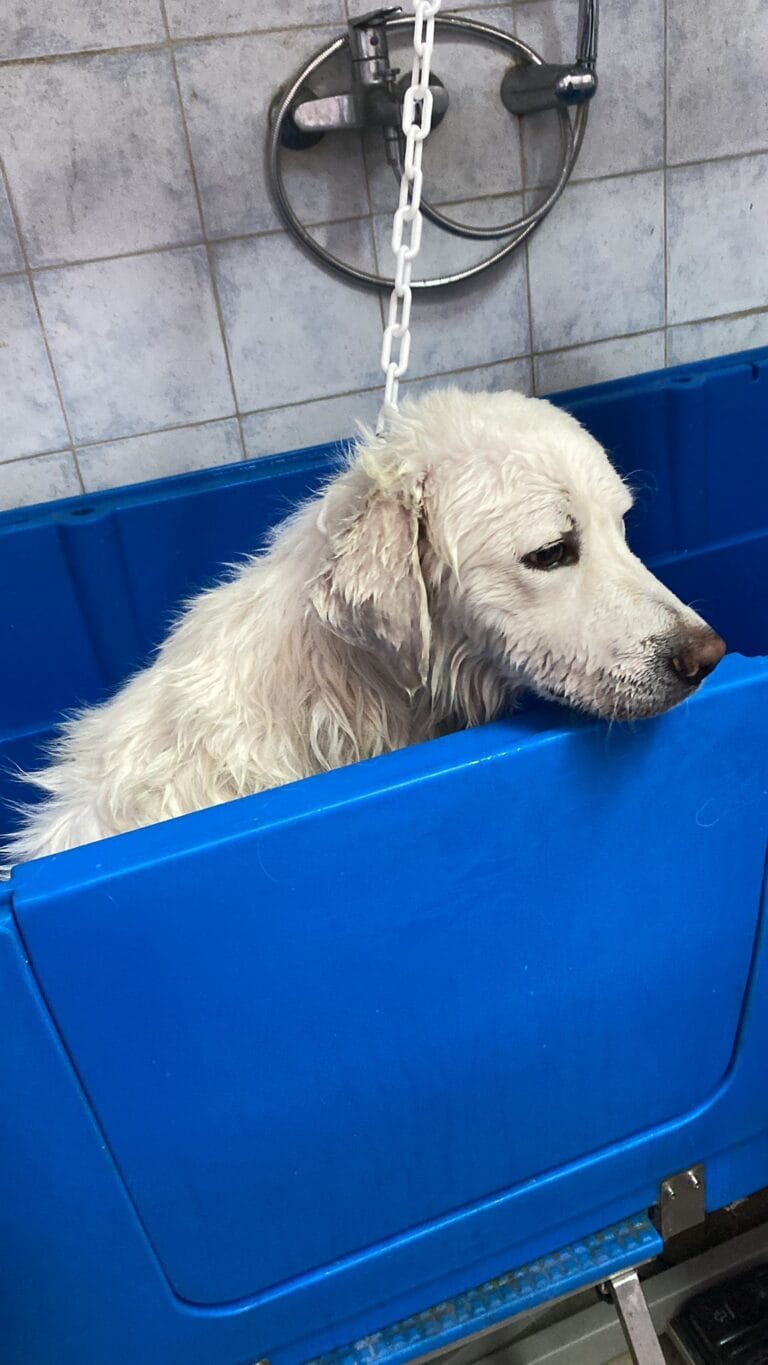 592424650_1170110225313742_8292211975376832881_n