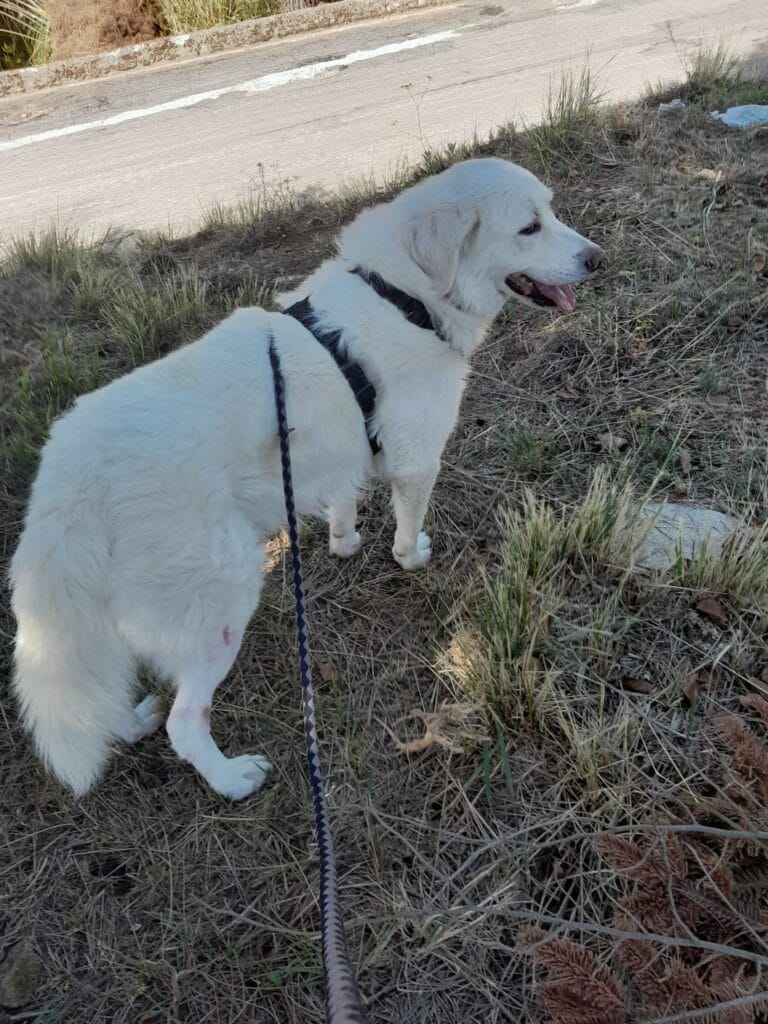 592523484_1170112868646811_3797742674316326521_n