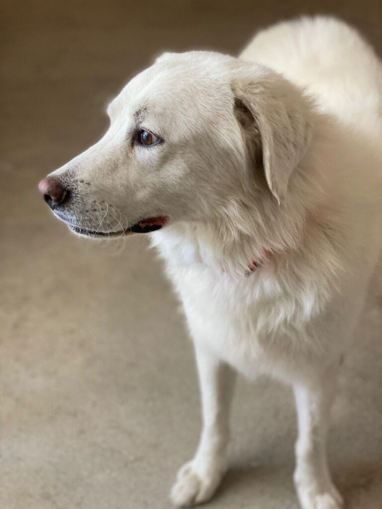 593566938_1170110021980429_526990073709275818_n