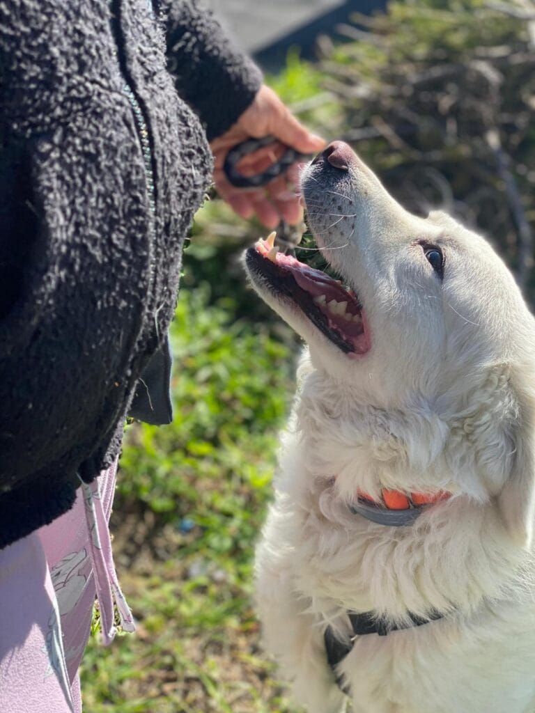 WhatsApp Image 2026-02-25 at 21.45.02 (1)