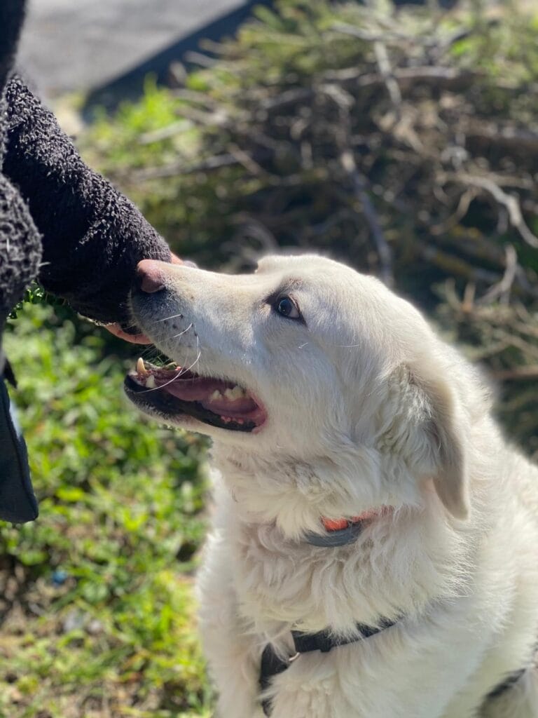 WhatsApp Image 2026-02-25 at 21.45.02 (2)