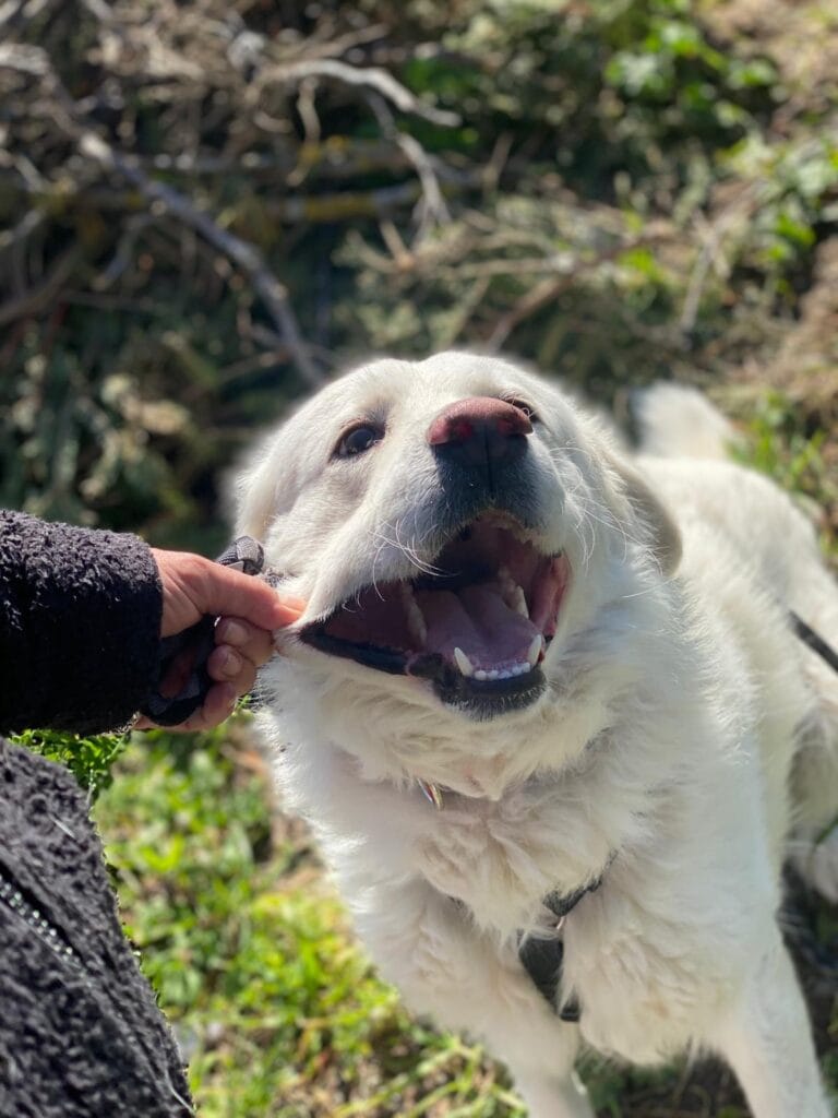 WhatsApp Image 2026-02-25 at 21.45.02 (3)