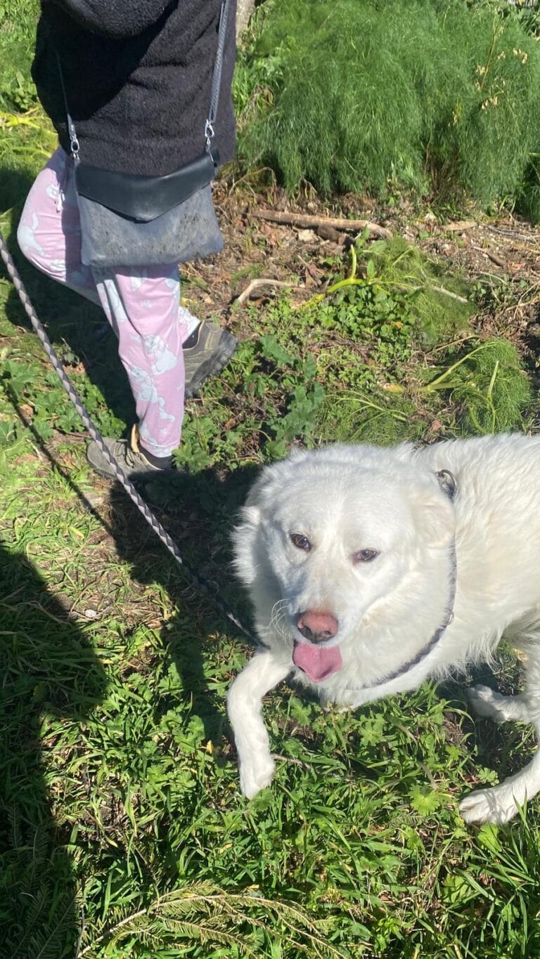 WhatsApp Image 2026-02-25 at 21.45.03