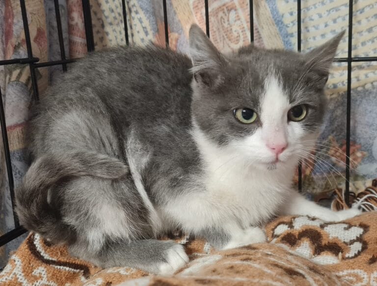 573417496_1144092664582165_289795579456115684_n