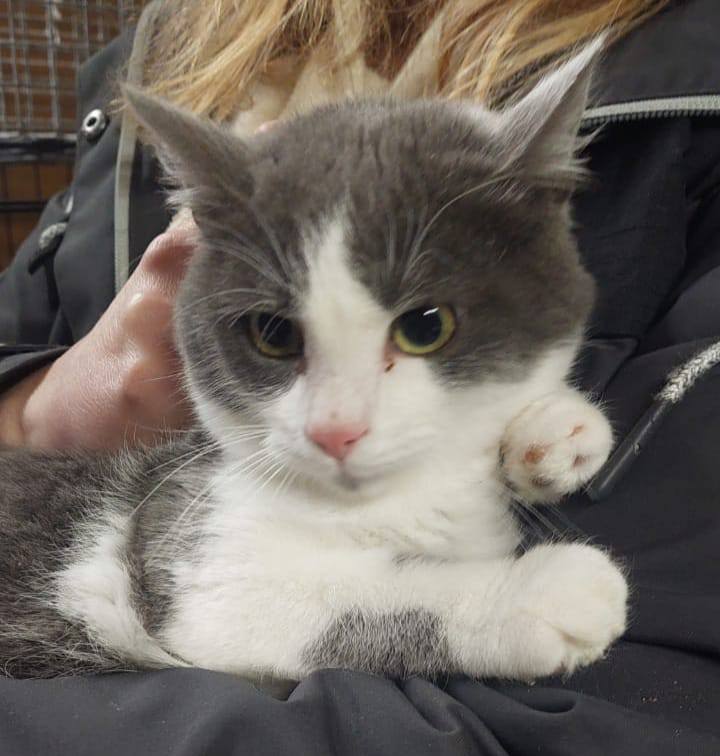 612452565_1197514969239934_5734275775167656300_n