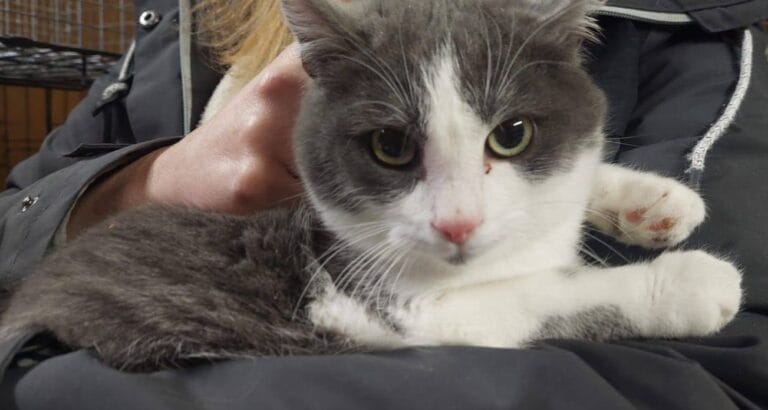 612642019_1197515005906597_7291764466171613346_n